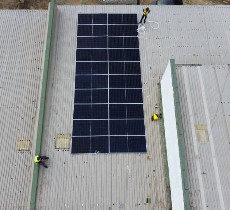 Desamis int projects